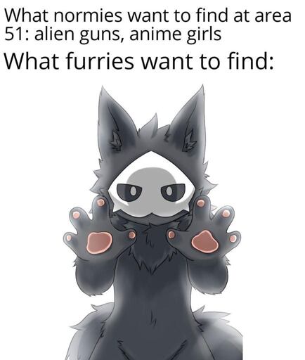 Image of Puro showing his paws with the text above saying "What normies want to find at area 51: alieb guns, anime girls", "What furries want to find :" 