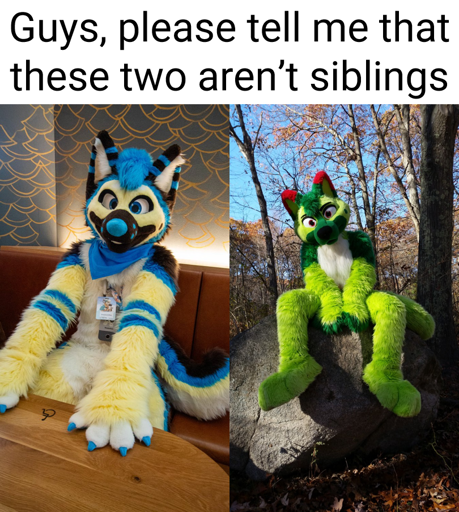 oh btw the fursuits are from completely diff makers
