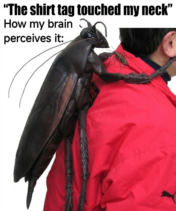 IMG_2589.png