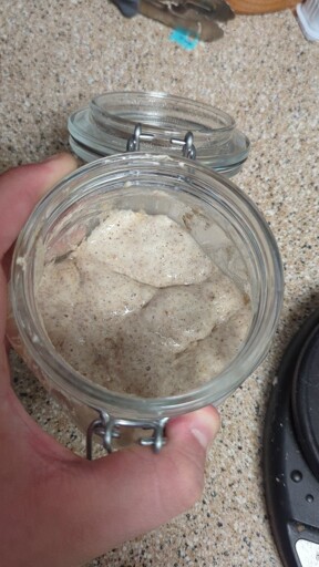 My first attempt at sourdough starter, already showing signs of activity after just 24 hours! 